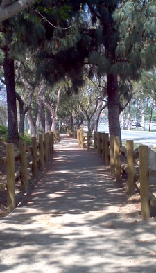 Anaheim Hills Nature Trails